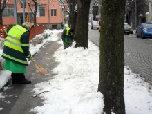 Армия от 300 жени ръчно чисти тротоарите в Пловдив