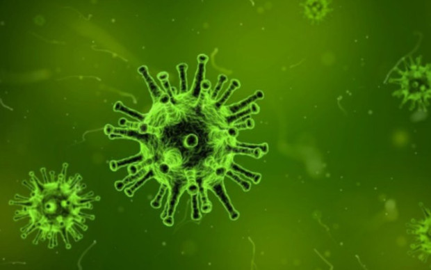</TD
>59 са новите случаи на коронавирус у нас. Направени са 461