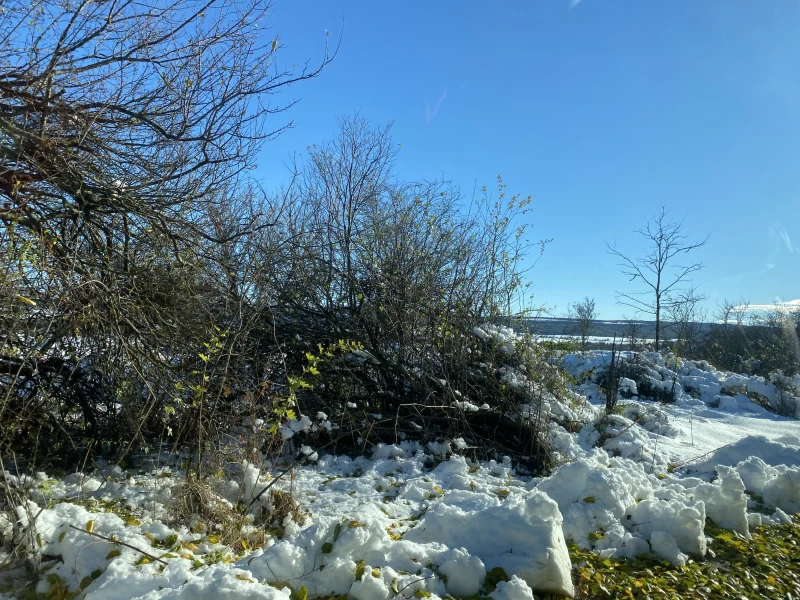 Вижте какво последно казват властите за обстановката в Търновски