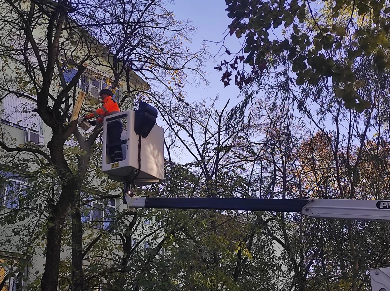 Кметът на район "Южен" с апел: Пазете се