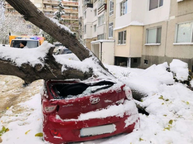 TD Снежната буря у нас причини сериозни щети в цялата страна