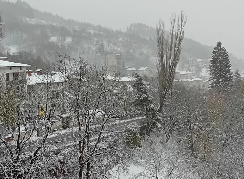 Слаб сняг вали в Смолянско, пътищата са проходими при зимни условия