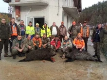 Ловци убиха два глигана в Родопите с общо тегло 350 килограма
