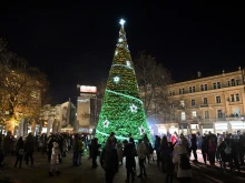Кметът Костадин Димитров ще запали светлините на елхата пред Общината на 1 декември