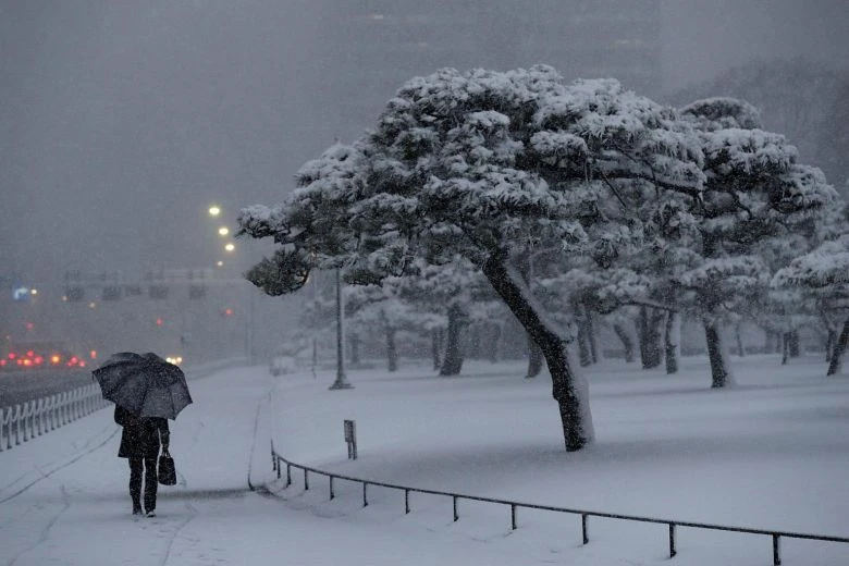 Лошото време парализира половината Балкани, снежната покривка в Сърбия достигна до 80 сантиметра