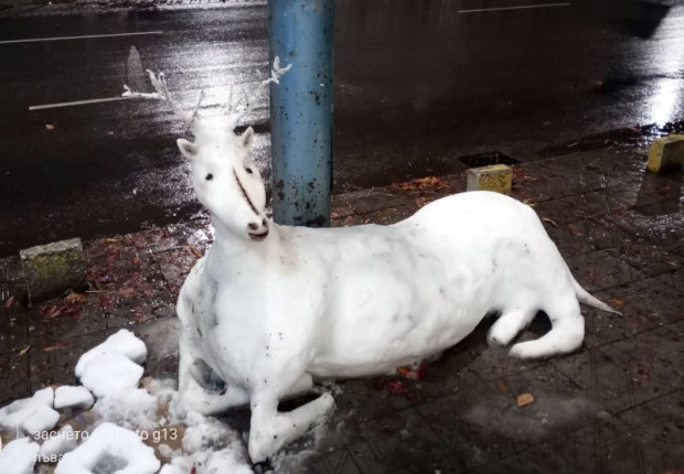 TD Снимка на снежен елен взриви социалната мрежа Фейсбук видя Plovdiv24 bg  Снимката