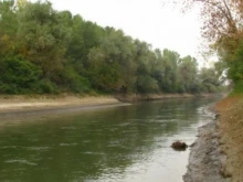 Мъж падна в река във Врачанско и се удави, докато рязъл дърва на брега
