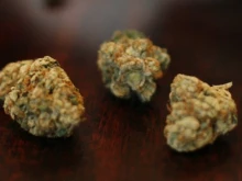 �� �����: ������� ��� � MDMA � ��������