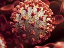184 са новите случаи на коронавирус у нас