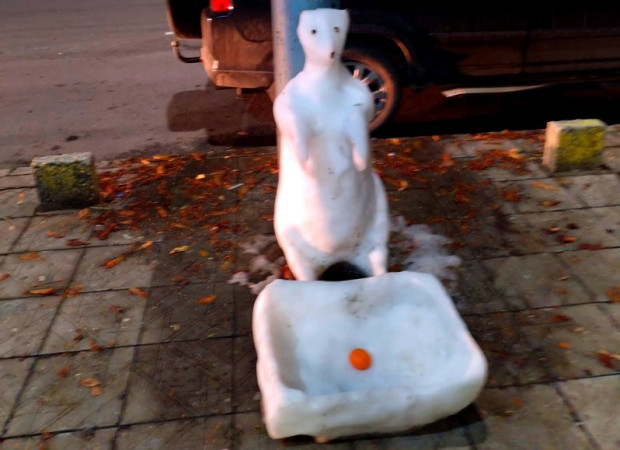 TD Снежна ледена мечка се появи на оживен булевард в Пловдив
