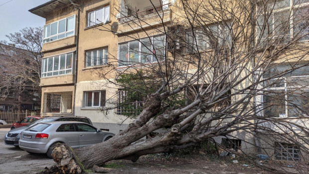 Отмениха бедственото положение в община Варна поради отпадане на обстоятелствата