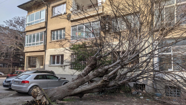 Отмениха бедственото положение във Варна