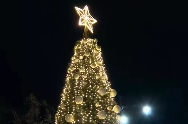 Коледният дух завладя столицата – запалиха светлините на елхата