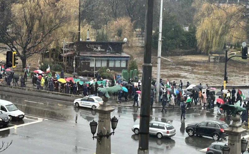 Нов протест в подкрепа на Палестина под дъжда в София