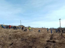 Две нови горички засадиха доброволци от Велико Търново и околните села