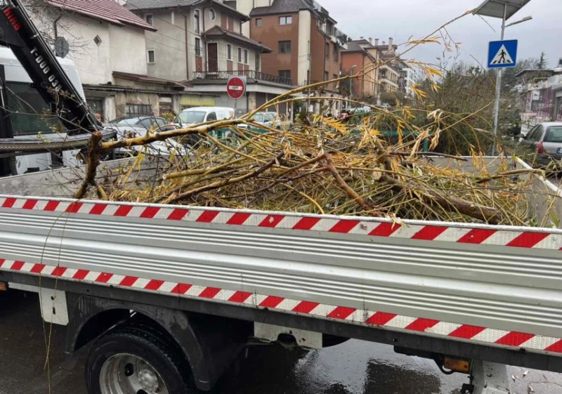 Над 750 тона дървета и клони са почистени и извозени в столицата от началото на снеговалежа