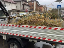 Над 750 тона дървета и клони са почистени и извозени в столицата от началото на снеговалежа