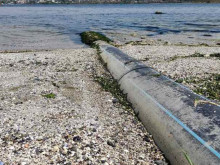 Повдигнаха обвинение на Портних: До 10 години затвор грозят бившия кмет заради замърсяването на Варненското езеро