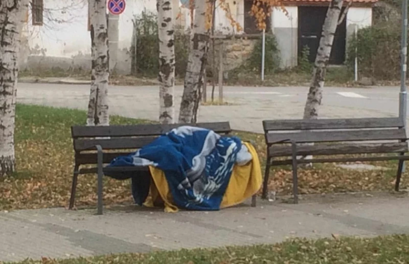 Жена спи при минусови температури на пейка в парка на Кюстендил