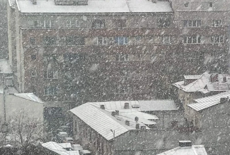 ��teo Bulgaria: ���� ������ � ������� ������, ����� ���� ���� ��� ��������