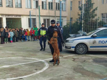 Полицейско куче показа как се залавят престъпници в търновско училище