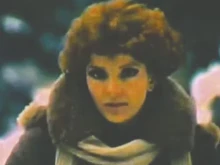 �����������, ������������ ���� 1982 �. �� ���� ���� �� ���������� ����