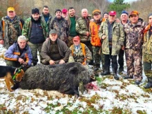 Повалиха 300-килограмов звяр в Родопите