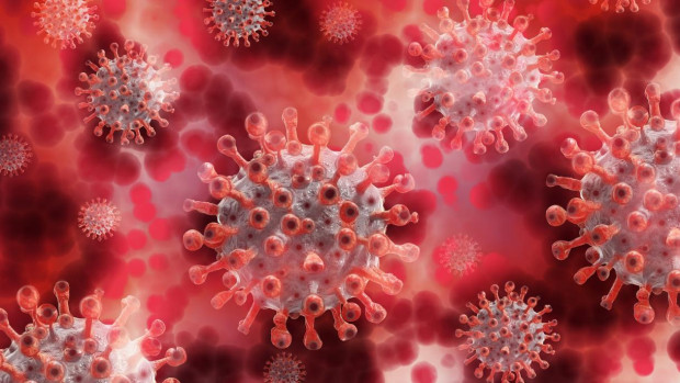 185 са новите случаи на коронавирус у нас Направени са