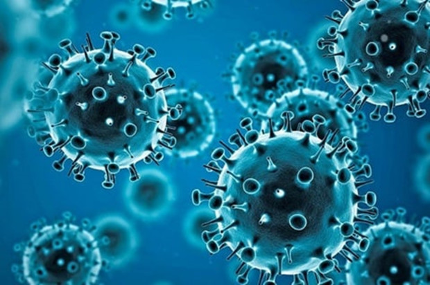 </TD
>185 са новите случаи на коронавирус у нас. Направени са