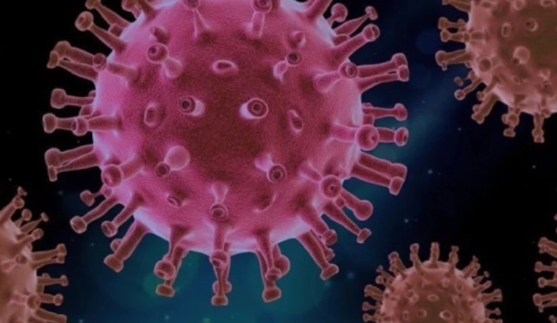 217 са новите случаи на коронавирус у нас, 1 човек е починал