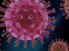 217 са новите случаи на коронавирус у нас, 1 човек е починал