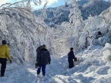 Дебел сняг и десетки паднали дървета блокираха достъпа до две благоевградски села