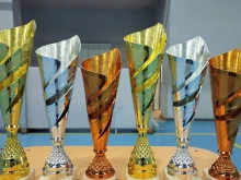 Най-добрите спортисти на Сливен ще бъдат наградени на 19 декември