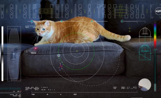 НАСА засне видео с котка и го излъчи от около