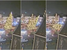 Коледна елха падна и уби жена в Белгия