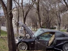 Надрусан шофьор се заби в дърво до спирка, в близост до общината във Варна