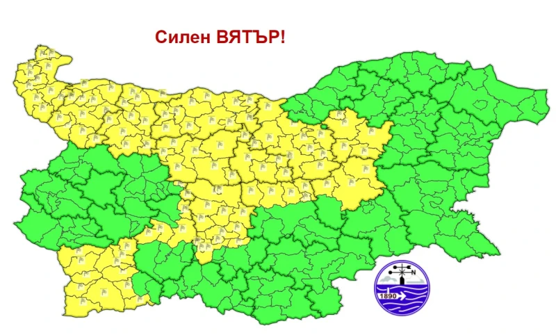 ������ �����: ���� � ������ ���� ���