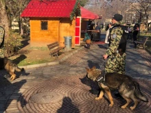 Въоръжени патрули и кучета по време на празниците