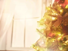 �� 15 ������� � ����� ����