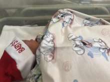 8 ������ �� ������ � "������ ���" �� ���������