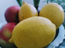 След пиршествата и махмурлука: Нека лимонът ви помогне да се детоксикирате след този празничен сезон
