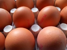 Яйцата – колко на ден можем да похапваме и какви ползи ни носят?