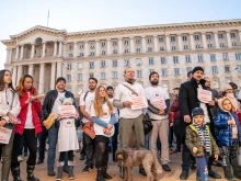 В Деня на бащата: Протест срещу родителското отчуждение в София