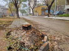 Читателка на Plovdiv24.bg се възмути от видяното