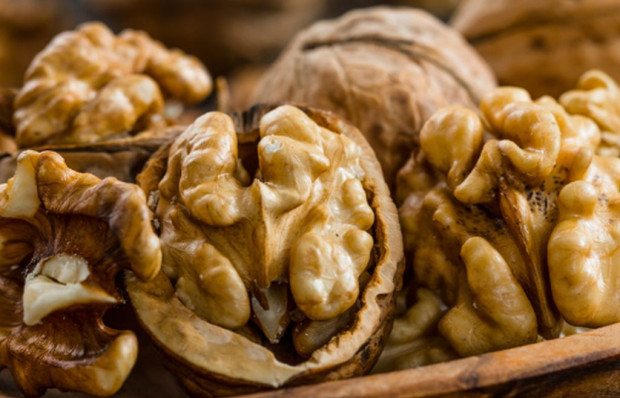 Орехите са първата храна набавяна от дърветата  Произхождат от Централна Азия