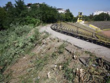 Сеч на старите храсти и дървета на стадион Ботев, тестват осветлението