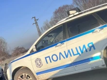 Жена е пострадала при последната катастрофа с кон край Кюстендил