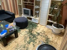 ������� �������������� � �������� ����������