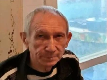 Полицията издирва 71-годишен мъж от Видин