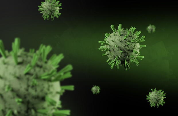 </TD
>222 са новите случаи на коронавирус у нас. Направени са 1